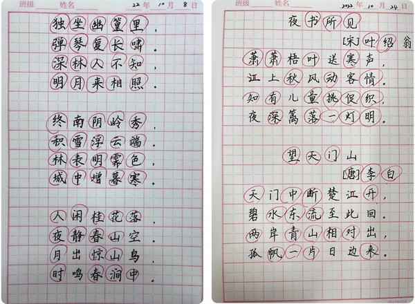 蓄力促提升，赋能共成长