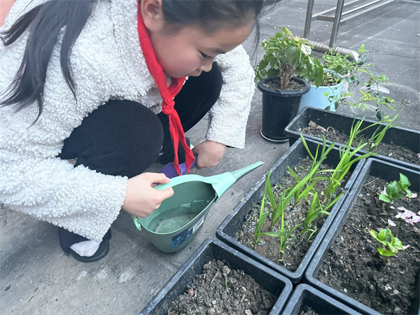 小“农”人  丰素养