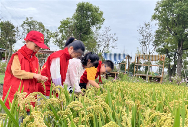 稻花香里说丰年
