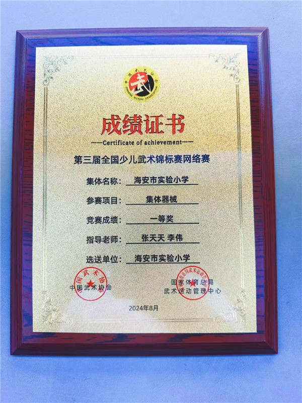 拳风棍影，共生武术队蝉联全国集体器械组一等奖